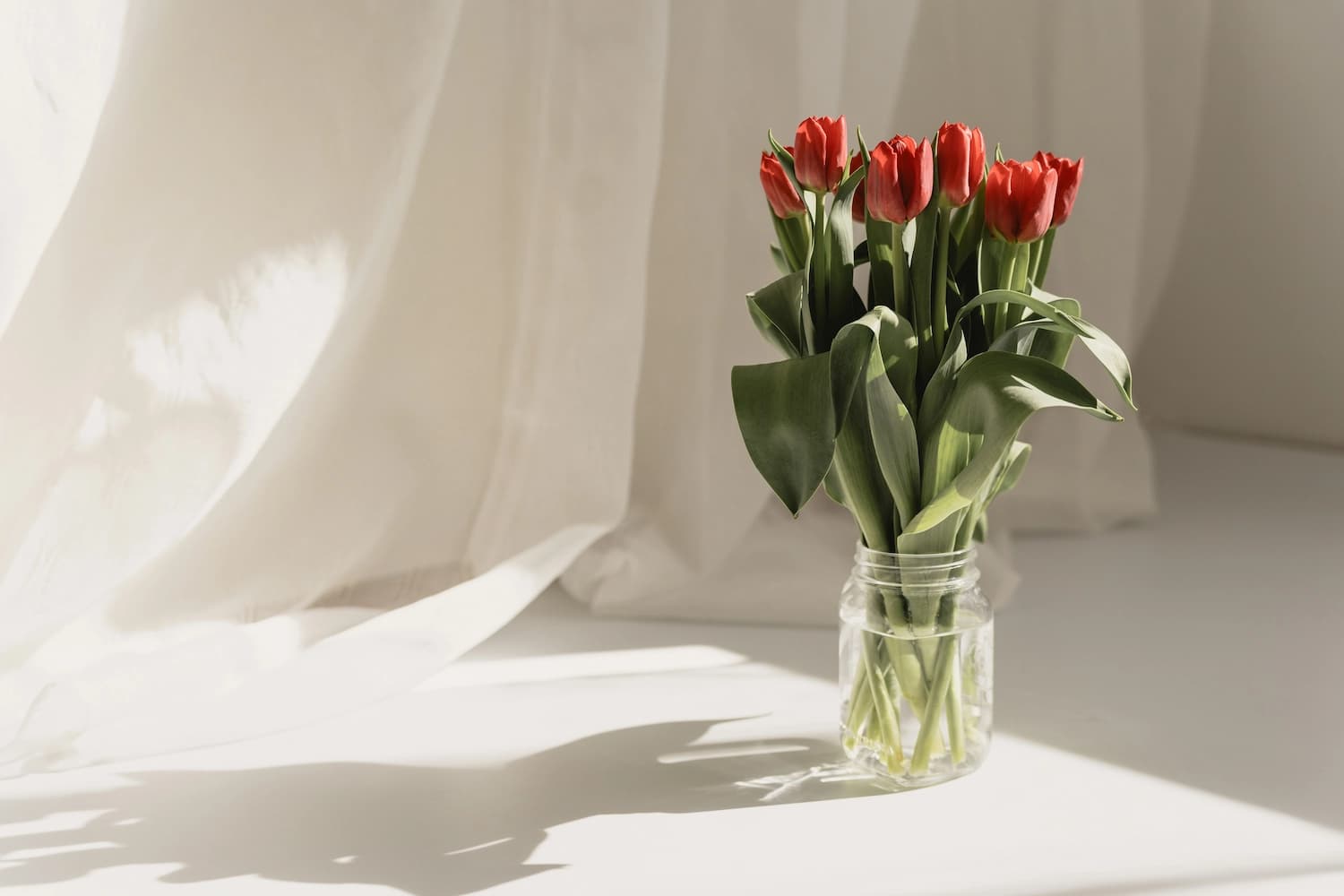 Arranjo de tulipas laranjas avermelhadas no chão branco e uma cortina branca ao fundo.